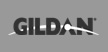 Gildan custom t shirts