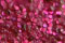 screen printing fuschia glitter