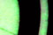 screen printing Glow in the dark