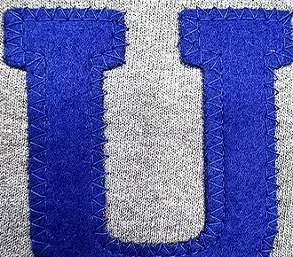 photo of felt applique material on a grey sweatshirt