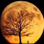 super moon custom screen prints rhinestones on shirts tshirt screen prints of the moon
