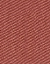 photo of rust colored chino twill