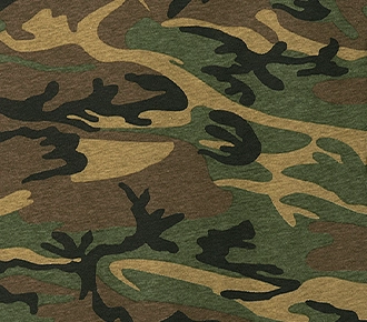 picture of original camo pattern