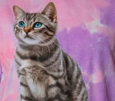 digital printing example on a no minimum hoodie