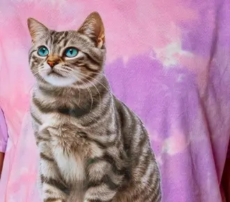 Direct-to-garment (DTG) digital print of a realistic tabby cat with blue eyes on a pink and purple tie-dye t-shirt.