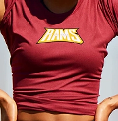 Custom screen printed maroon t-shirt with bold yellow Rams logo.