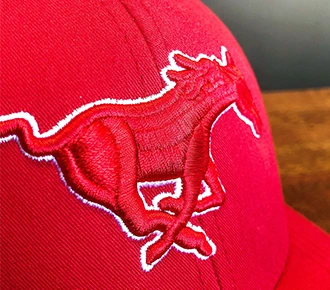 another embroidery limitation
