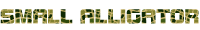 Small Alligator Font Pattern