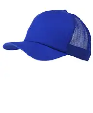 Big accessories BX010