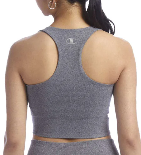 Champion CHP110 back