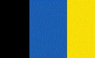 Black\Imperial Blue\Yellow Gold