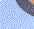 Light Blue Heather\Navy Heather