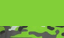 Lime Lime Camo
