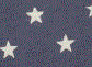 alternative apparel 9573 Stars color selected