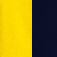 charles river 9199 Yellow Navy color selected